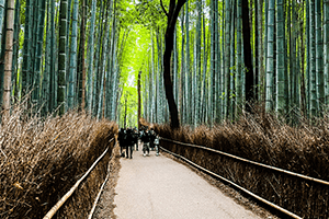 Arashiyama